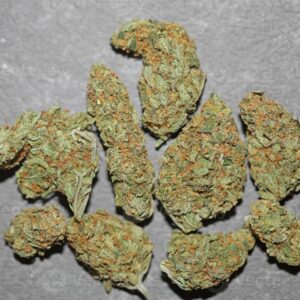 Mimosa Haze - Interior